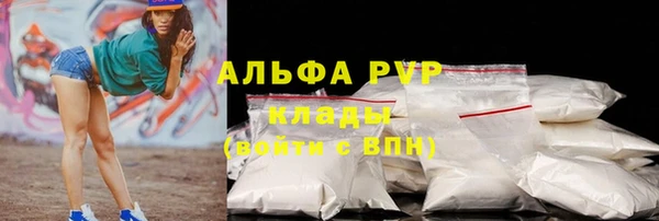 шишки Белоозёрский