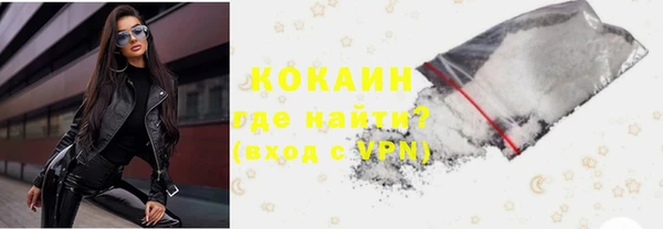 шишки Белоозёрский