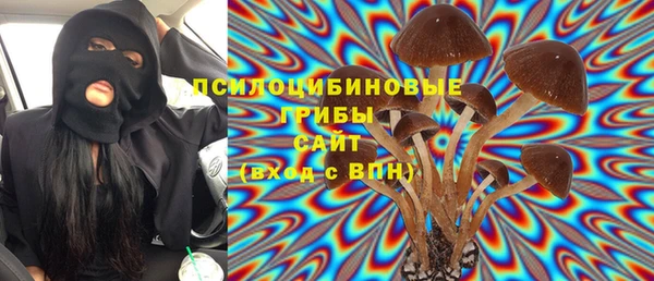 ГАЛЛЮЦИНОГЕННЫЕ ГРИБЫ Беломорск