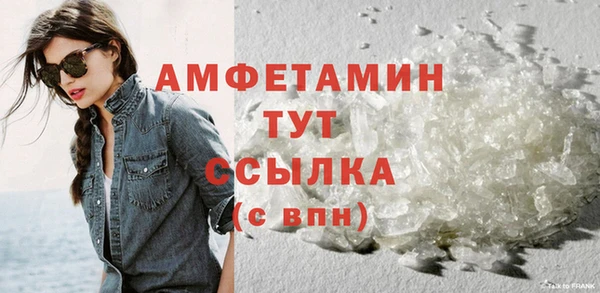 шишки Белоозёрский