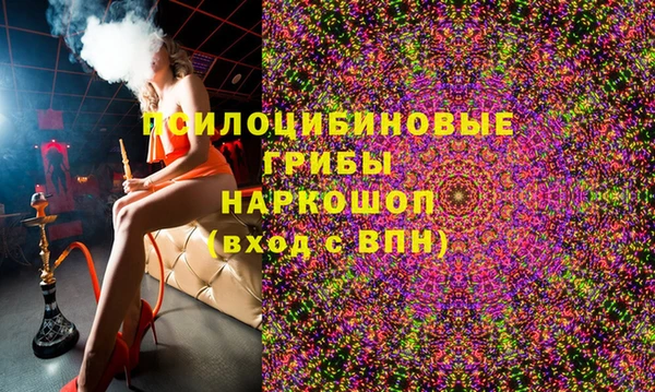 кокаин Белокуриха