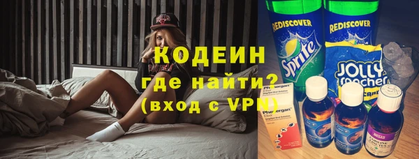 шишки Белоозёрский