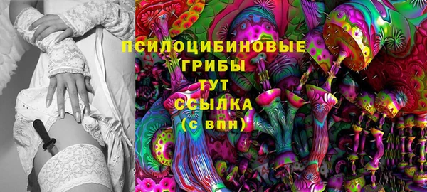 кокаин Белокуриха