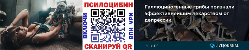 Псилоцибиновые грибы MAGIC MUSHROOMS  Купить  Красновишерск 